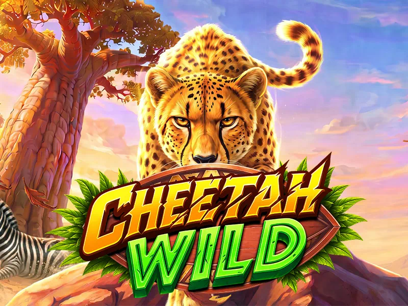 Cheetah Wild free demo slot game by Pragmatic Play