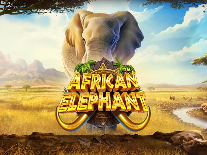 African Elephant - Pragmatic Play Demo